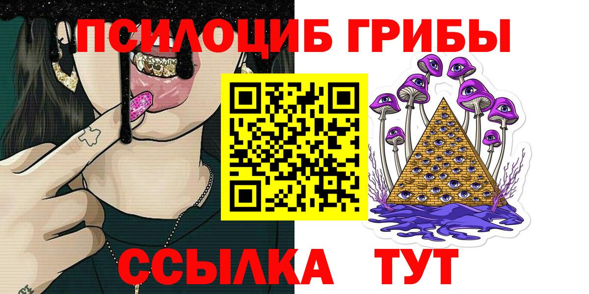 дарнет шоп  Вход с VPN  Елабуга  Галлюциногенные грибы Magic Shrooms 